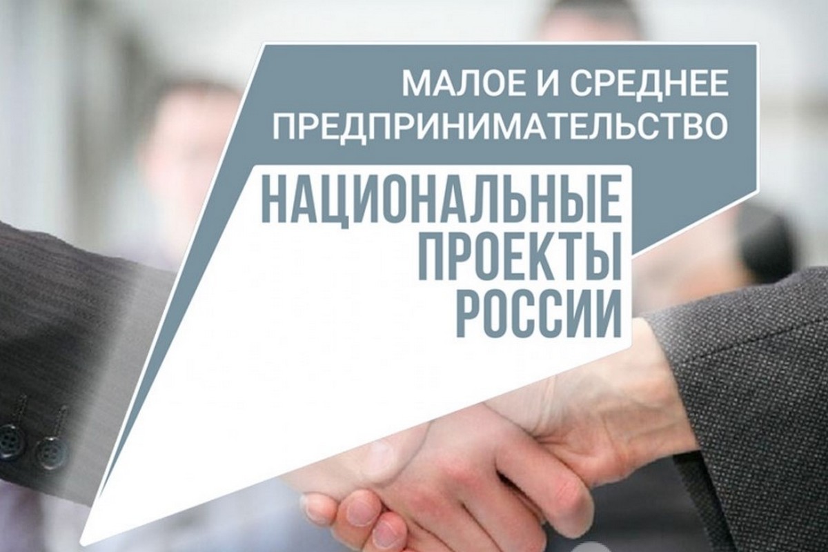 Нацпроект «Малое и среднее предпринимательство»: в Туле стартовал проект «Мама-предприниматель»