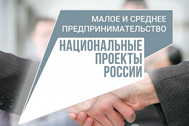 Нацпроект «Малое и среднее предпринимательство»: в Туле стартовал проект «Мама-предприниматель»
